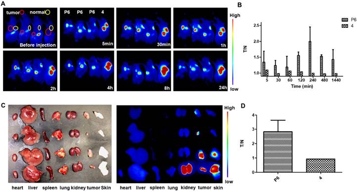 Theranostics Image