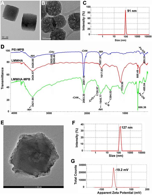 Theranostics Image