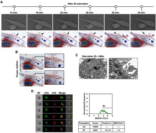 Theranostics Image