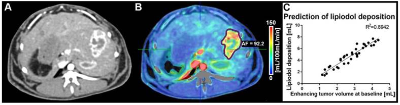 Theranostics Image