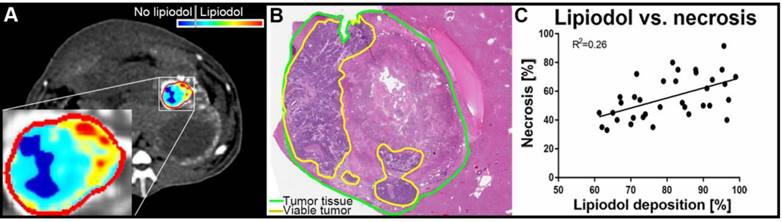 Theranostics Image