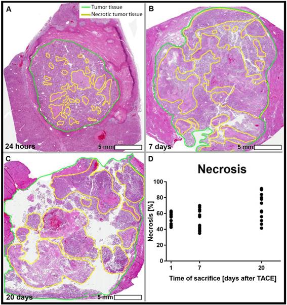 Theranostics Image