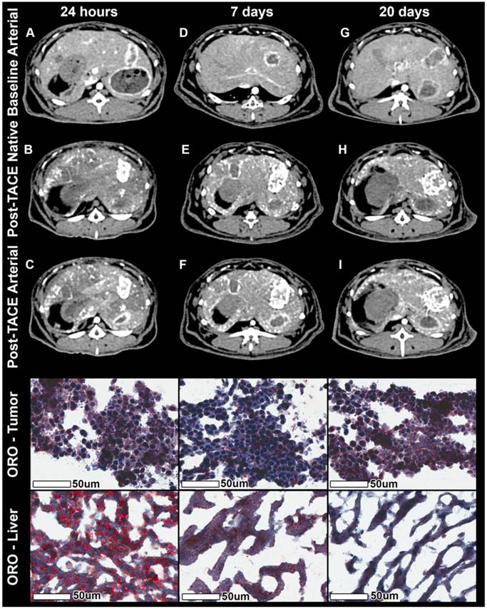 Theranostics Image