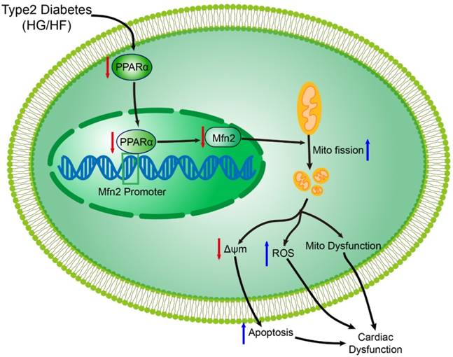 Theranostics Image