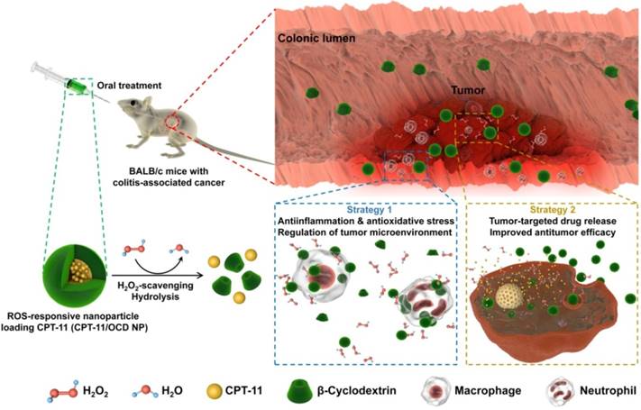 Theranostics Image