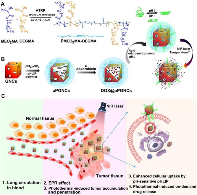 Theranostics Image