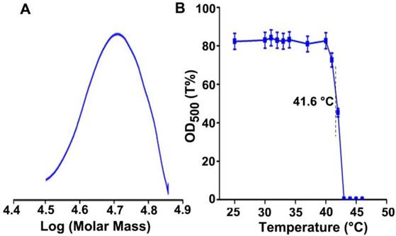 Theranostics Image