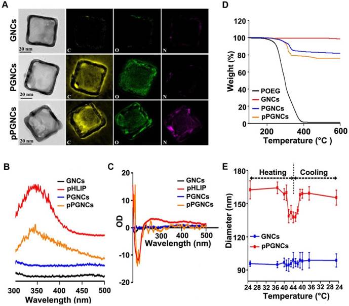 Theranostics Image