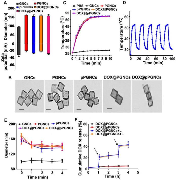 Theranostics Image