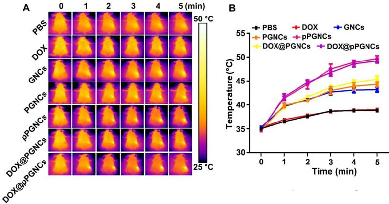 Theranostics Image