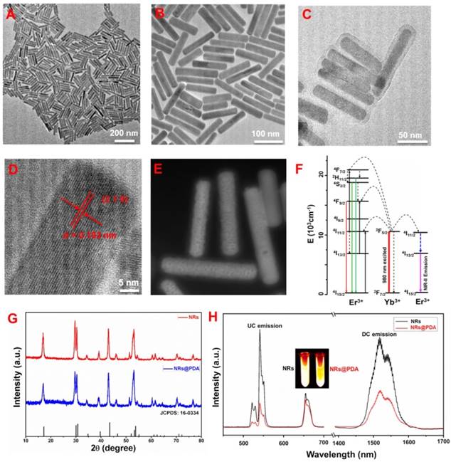 Theranostics Image