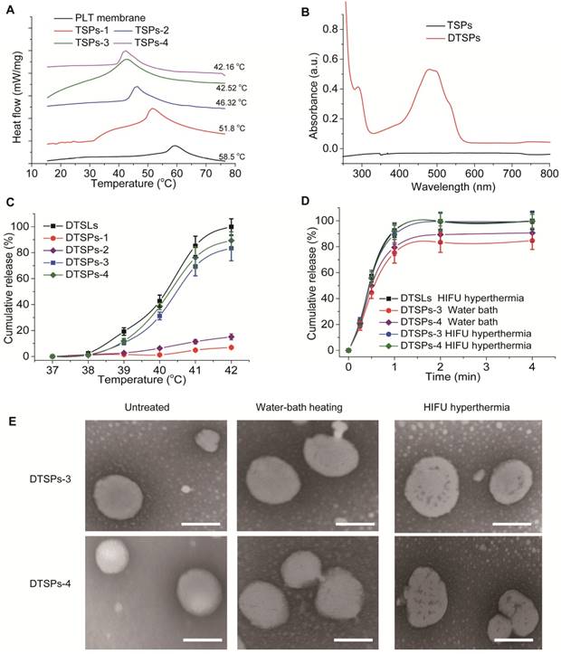 Theranostics Image