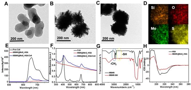 Theranostics Image