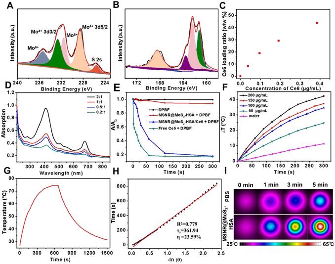 Theranostics Image