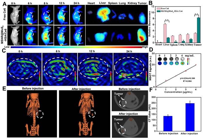 Theranostics Image