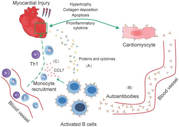 Theranostics Image