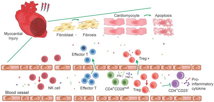 Theranostics Image