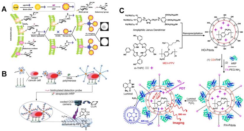 Theranostics Image