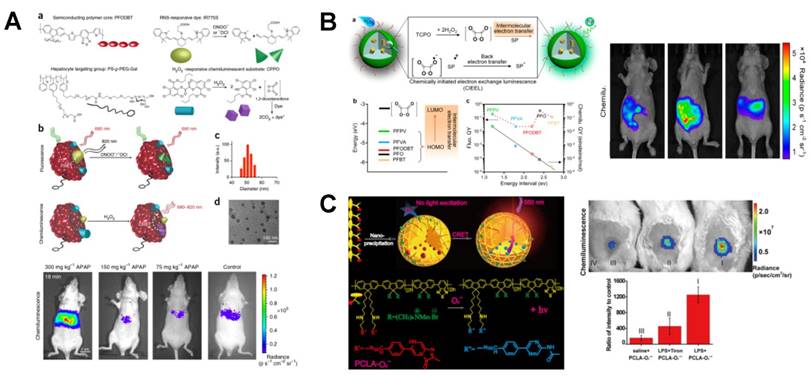 Theranostics Image