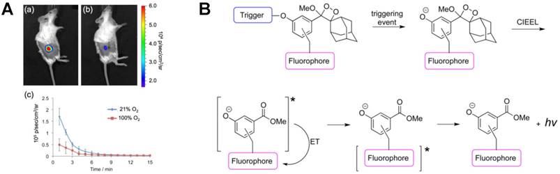 Theranostics Image