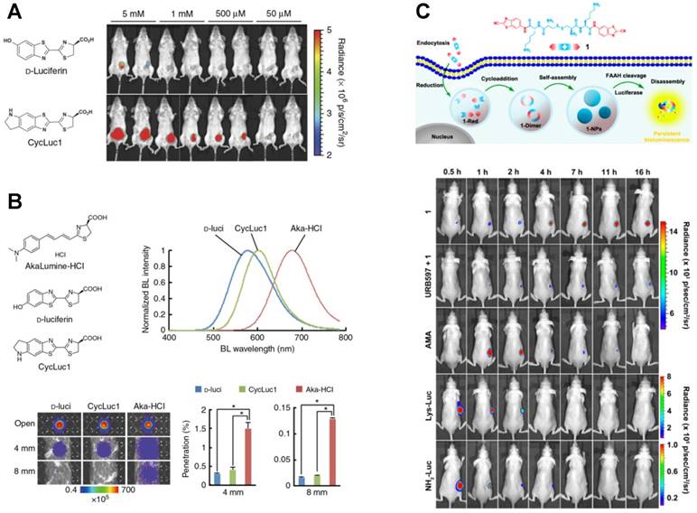 Theranostics Image