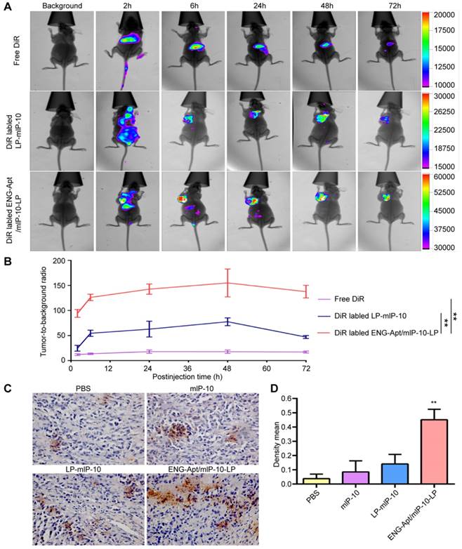 Theranostics Image