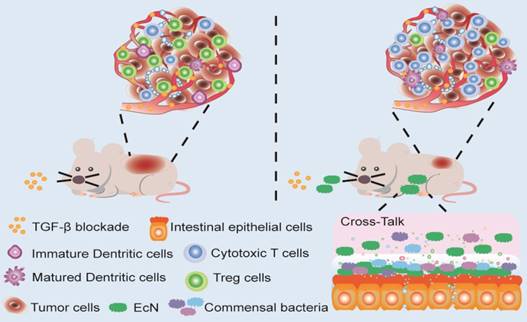 Theranostics Image