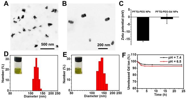 Theranostics Image