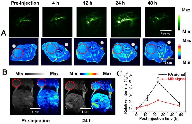 Theranostics Image