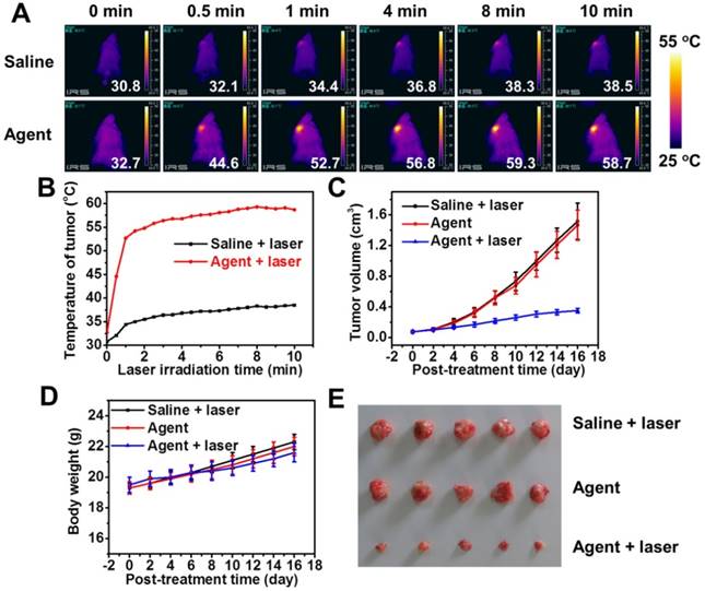 Theranostics Image