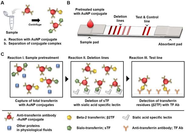 Theranostics Image