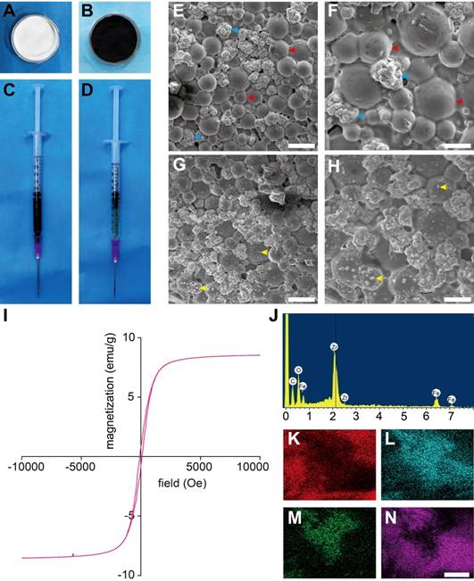 Theranostics Image