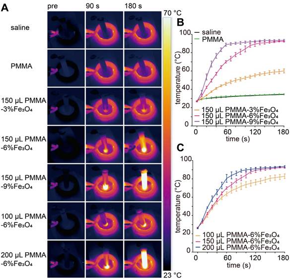 Theranostics Image