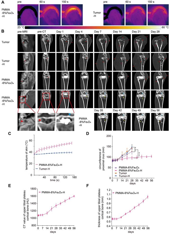 Theranostics Image