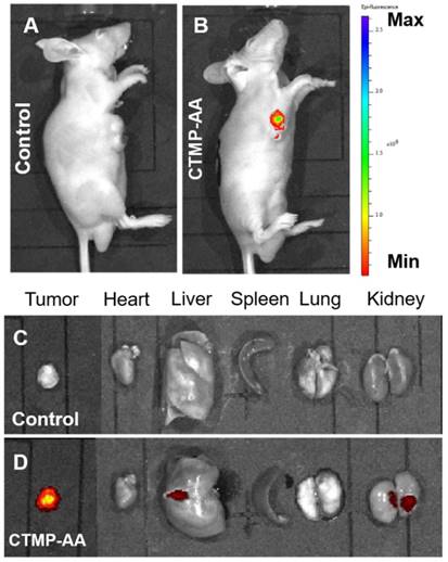 Theranostics Image