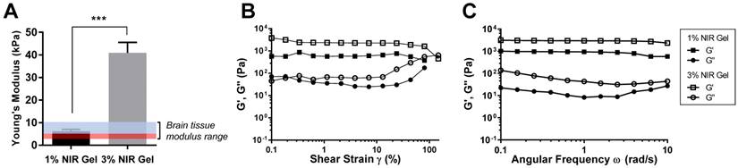 Theranostics Image