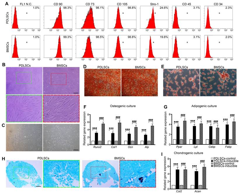 Theranostics Image