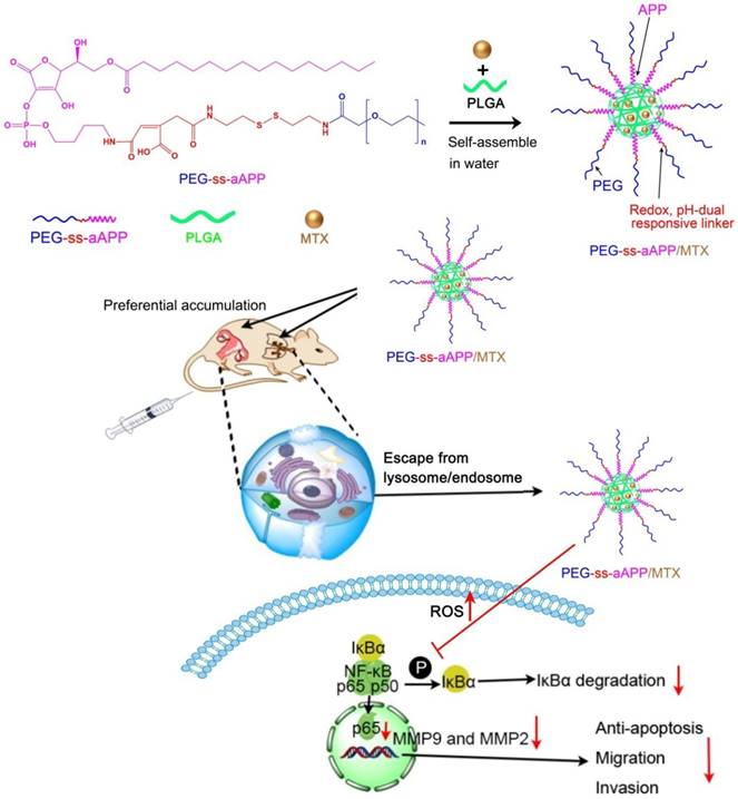 Theranostics Image