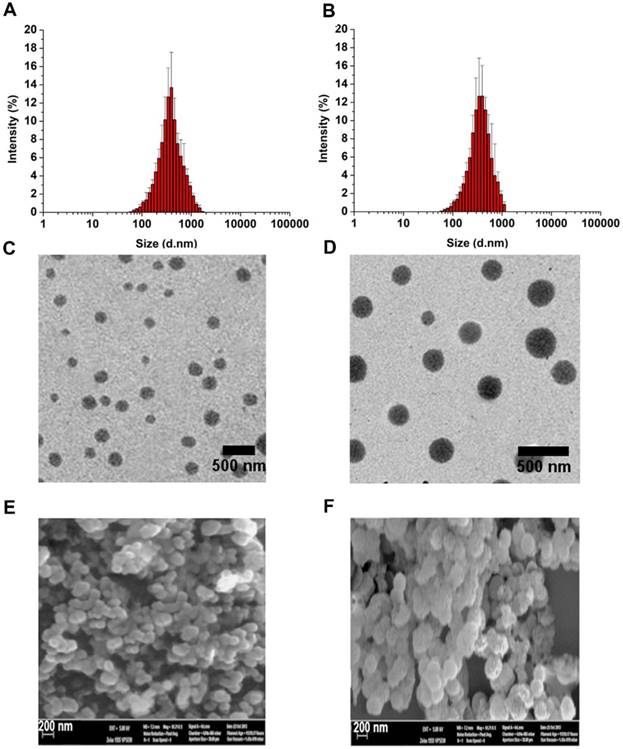 Theranostics Image