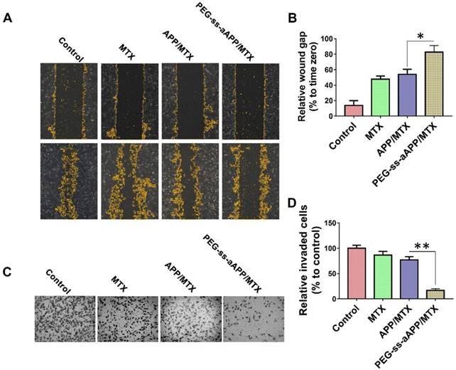 Theranostics Image