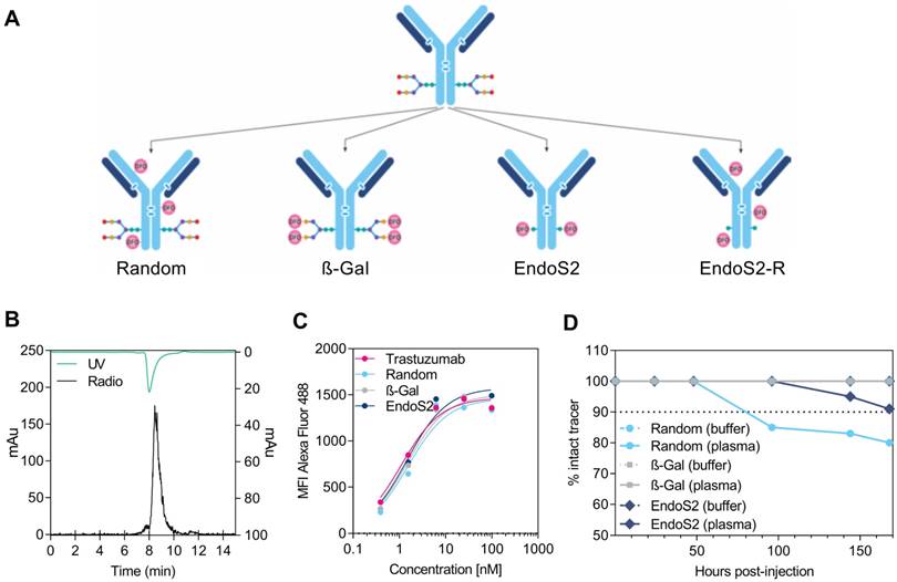 Theranostics Image