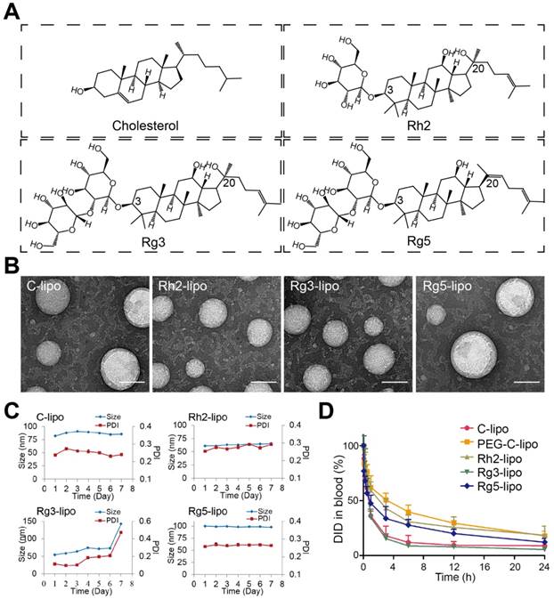 Theranostics Image