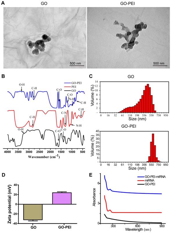 Theranostics Image