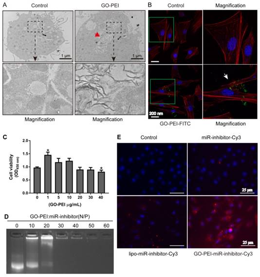 Theranostics Image