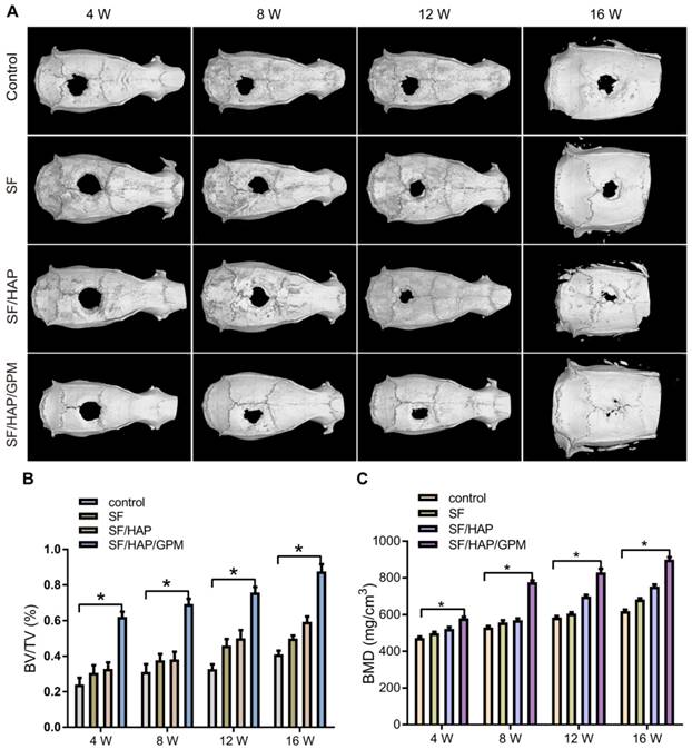 Theranostics Image