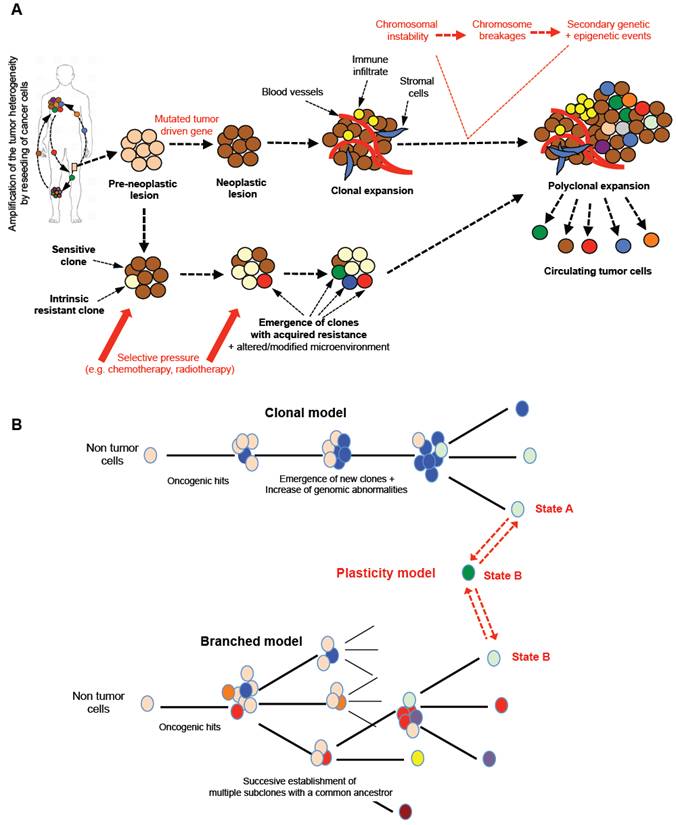 Theranostics Image