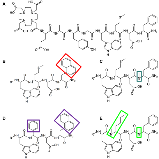 Theranostics Image