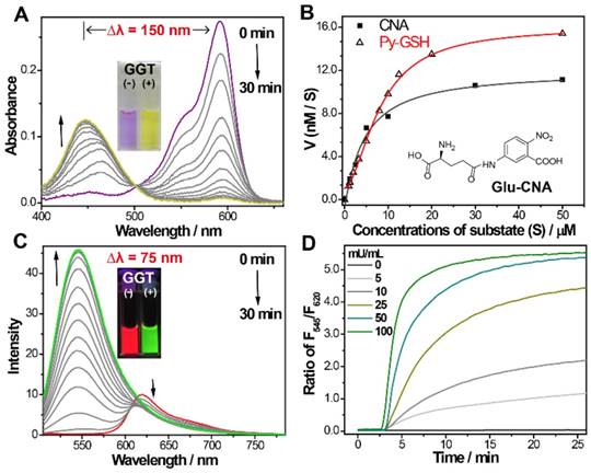 Theranostics Image