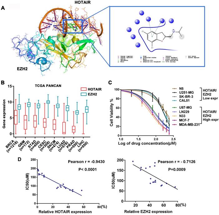 Theranostics Image