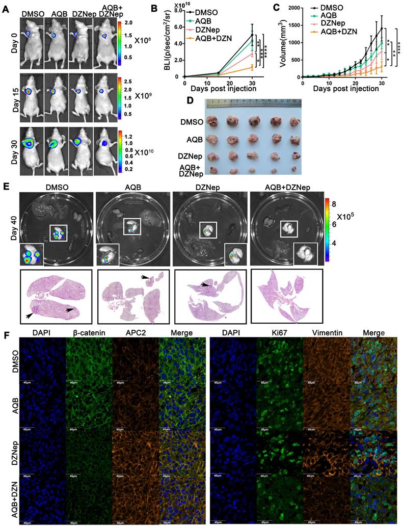 Theranostics Image